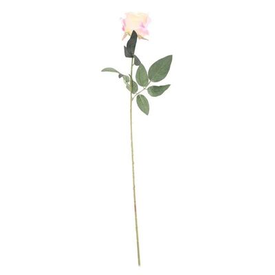 Arundel Rose Ivory (24/192)