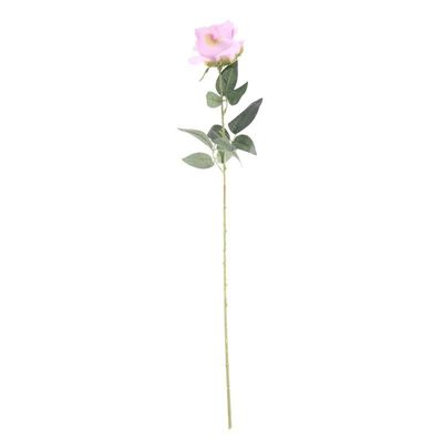 Arundel Rose Lavender (24/192)