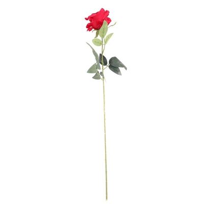 Arundel Rose Red (24/192)