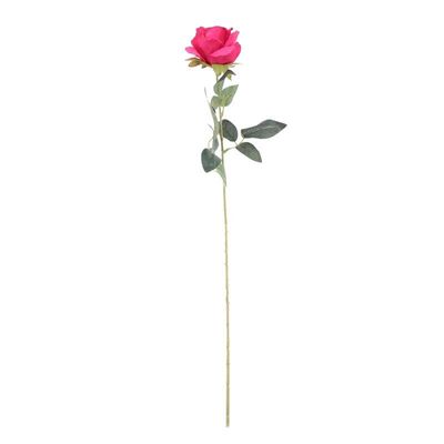 Arundel Rose Fuchsia (24/192)