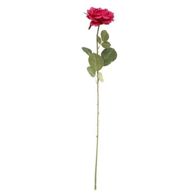 Arundel Open  Rose Fuchsia (24/192)