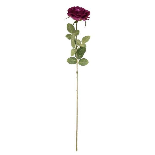 Arundel Open  Rose Mauve (24/192)