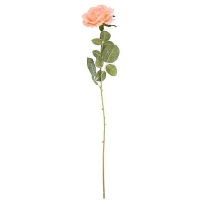 Arundel Open  Rose Peach (24/192)