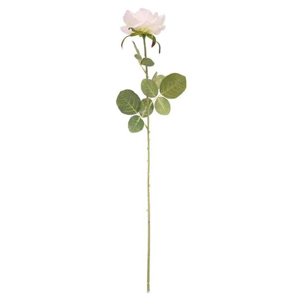 Arundel Open  Rose Cream (24/192)