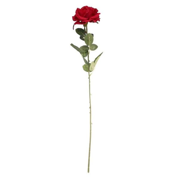 Arundel Open  Rose Red (24/192)