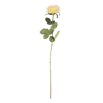 Arundel Open  Rose Yellow (24/192)