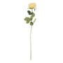 Arundel Open  Rose Yellow (24/192)