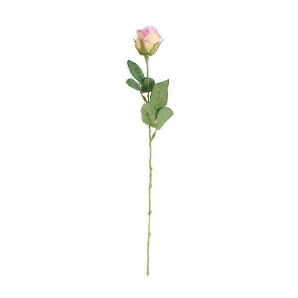 Buckingham Rose Pink (24/960)