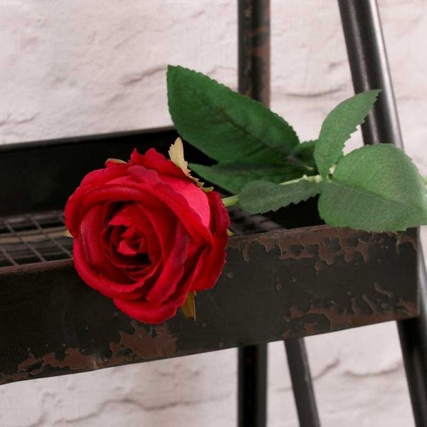 Buckingham Rose Red (24/960)