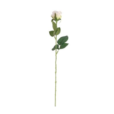 Buckingham Rose White (24/960)