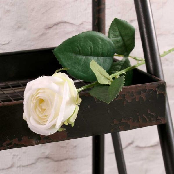 Buckingham Rose White (24/960)