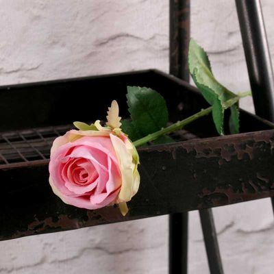 Buckingham Rose Pink (24/960)