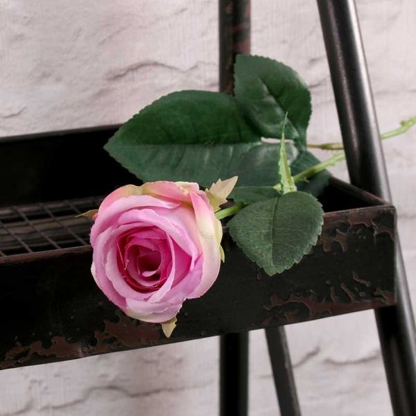 Buckingham Rose Purple (24/960)