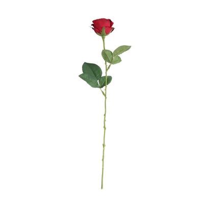 Buckingham Rose Red (24/960)