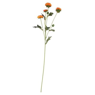 Buckingham Spray Chyrsanthemum Orange (12/384)