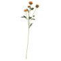 Buckingham Spray Chyrsanthemum Orange (12/384)