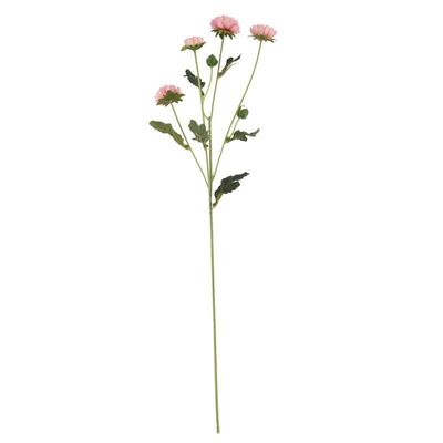 Buckingham Spray Chyrsanthemum Pink (12/384)