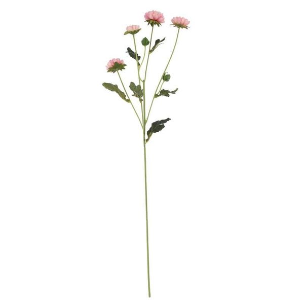 Buckingham Spray Chyrsanthemum Pink (12/384)