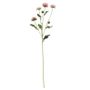 Buckingham Spray Chyrsanthemum Pink (12/384)