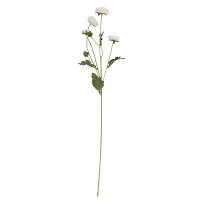 Buckingham Spray Chyrsanthemum White (12/384)
