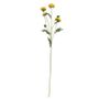 Buckingham Spray Chyrsanthemum Yellow (12/384)