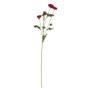 Buckingham Spray Chyrsanthemum Fuchsia (12/384)