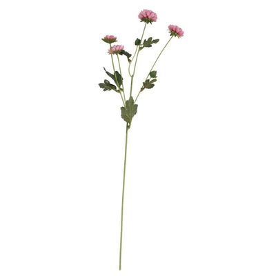 Buckingham Spray Chyrsanthemum Lt Purple (12/384)