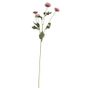 Buckingham Spray Chyrsanthemum Lt Purple (12/384)