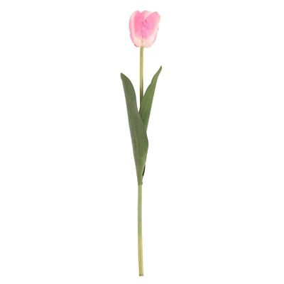 Tulip Pink (24/576)