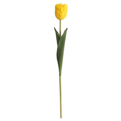Tulip Yellow (24/576)