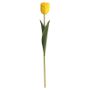 Tulip Yellow (24/576)