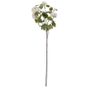 Viburnum in bud Spray White (12/96)