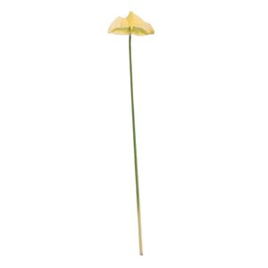 Anthurium White (12/144)