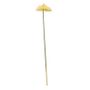 Anthurium White (12/144)