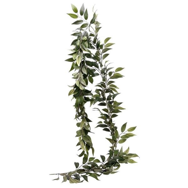 Ruscus Leaf Garland (6/60)