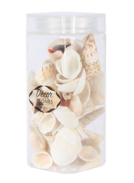 250gr Sea Shells Mixed  in Jar (1/16)