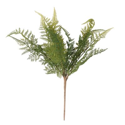 Fern Bush x 15 (12/288)