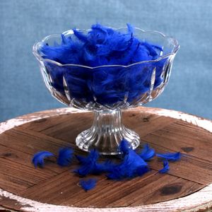 5gr Feather Royal Blue in Bag