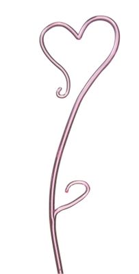 Orchid Stake Pink (55cm)