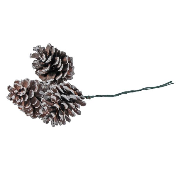 Set of 3 White Tipped Pine Cones 