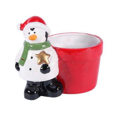 Novelty Ceramic Pot w/Penguin (24)


