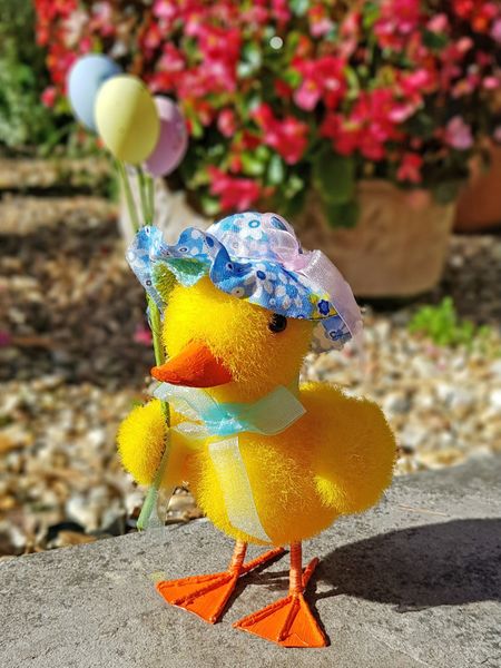 Display Duckling with Balloons 8.5x11.5x20