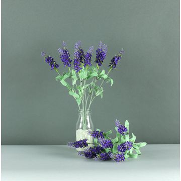 lavender bush x5 purple