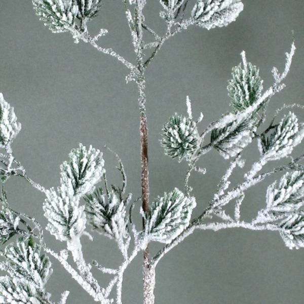Snowy Wild Pine Branch (24/288)