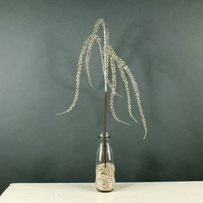 Glitter Amaranthus Spray (Champagne) (24/288)