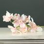 Tintagel Cymbidium Orchid Light Pink  (12/60)