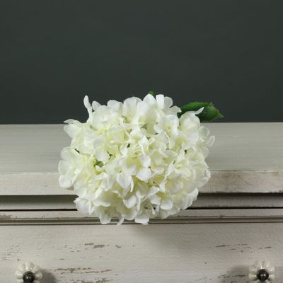 Tintagel Hydrangea White (12/144)