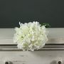 Tintagel Hydrangea White (12/144)