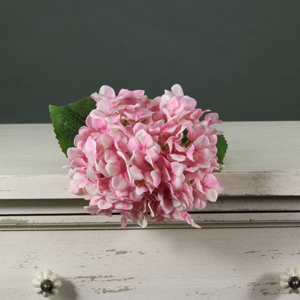 Tintagel Hydrangea Light Pink (12/144)