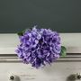 Tintagel Hydrangea Lavender (12/144)